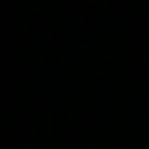 Meet your Posher, Dina